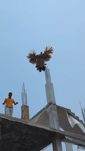 69K views · 268 reactions | Swedish Flower Hen | Sami Loft & FarmHouse | Facebook