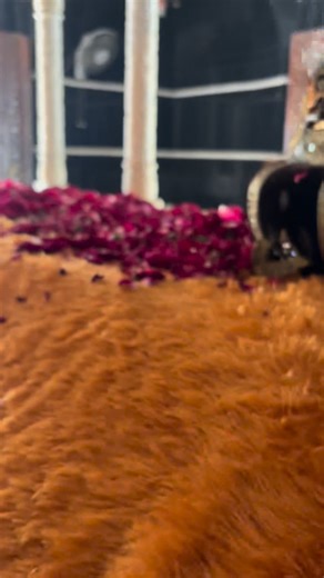 Today's Best Photo ❣ ∙── ৳ ﷽❣ #HistoryOfPhotography 🤍🕋🤍 . . . . . . . . . Evolution of #BMW: A legacy of engineering excellence introducing Byriche Motorane Werk AG, commonly known as BMW, is a renowned German automobile and motorcycle manufacturer celebrated for its performance-oriented vehicles and state-of-the-art technology. Established in 1916, BMW has become the synonym of luxury, innovation and driving pleasure. This article explores the history, growth and impact of BMW on the automot