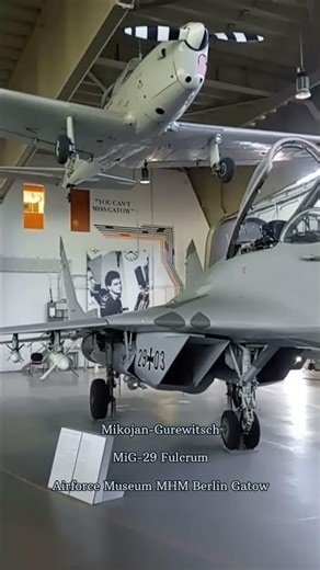 Mikoyan MiG-29 close-up