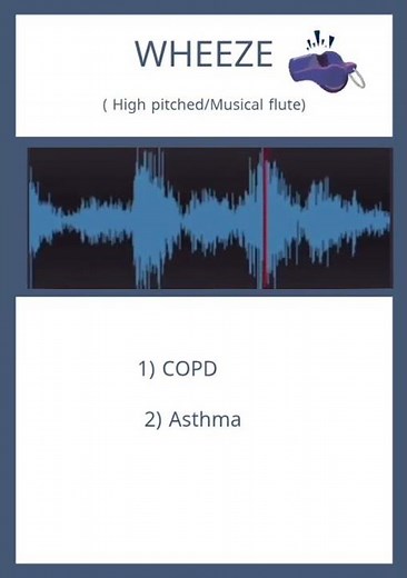 Auscultation #youtubeshorts #medicalvideos