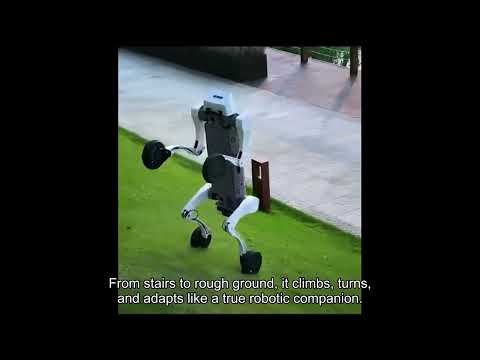 This Robot Dog Can Go Anywhere! | Four-Wheeled Mobility Redefined.