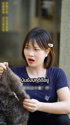 น้องสาวนำหนูนาไปฝังดิน แต่พี่ชายกลับไปขุดมาทำอาหาร! #shorts #viral #interesting #หนูนา