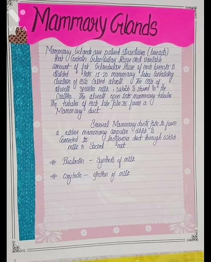 12th Biology project | female reproductive system | 2021-22.