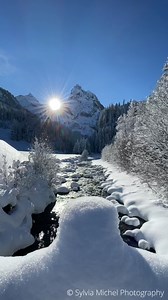 250K views · 37K reactions | I know that many of you don't think winter is that great. The fact is - I have the funniest, most beautiful and most magical moments mostly in winter. It's like being immersed in Narnia for me. And it often feels like a fairy tale too. So today I'm going to go in search of some winter for you! Rasta will definitely like it!:)) VIDEO Sylvia Michel Photography Rasta | Sylvia Michel Photography | Facebook