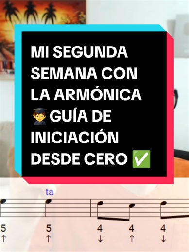 Guía de Iniciación en la Armónica para Principiantes