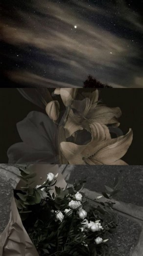 Instagram video by The Empty Notes • Feb 21, 2026 at 8:51 AM