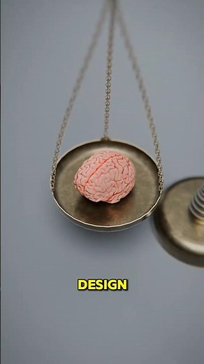 Why Humans Walk on Two Legs… And Why It Hurts 😳