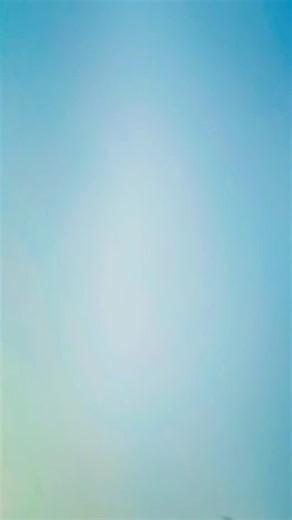 🦋🌸🇧 🇦 🇷 🇸 🇭 🇦 🌸🦋 on Instagram: "Oree sahiba .....💝🐼👀 #odiasong #odiareels #reelsinstagram #repost #instagood"