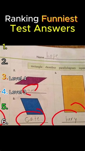 Ranking Funniest Test Answers🤣