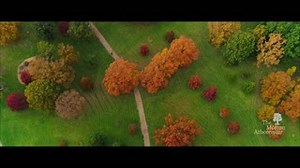 Did you know that the Arboretum is home to an amazing time capsule? The Arboretum's Herbarium includes more than 187,000 dried plant specimens and 17,000 lichens preserved for valuable research in botany, genetics, ecology and more. Check out the incredible work being done by Arboretum scientists! | The Morton Arboretum