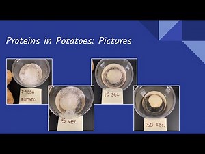 Proteins in Potatoes Lab