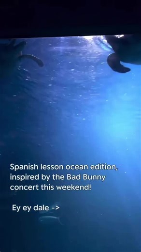 Spanish lessons leading up to the Bad Bunny Super Bowl halftime show, history in the making with Spanish front and center! Because the ocean belongs to all of us, no matter how we say it. La conservación es más fuerte cuando unimos nuestras voces. Different words. Same ocean. Shared responsibility. 🐇 🐙💙 #MontereyBayAquarium #CertfiedBayBunnyEnergy #ExcitedForBunnyBowl #badbunnysuperbowl #WeCantUseTheRealBunnyMusic 😭