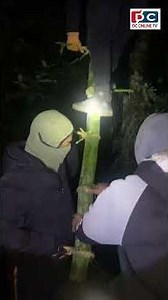 अरिड्गाल पोल्न ज्यान को जोखिम मोलेर जादै॥