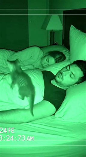 Tiny kitty makes herself comfortable in new home 🥺