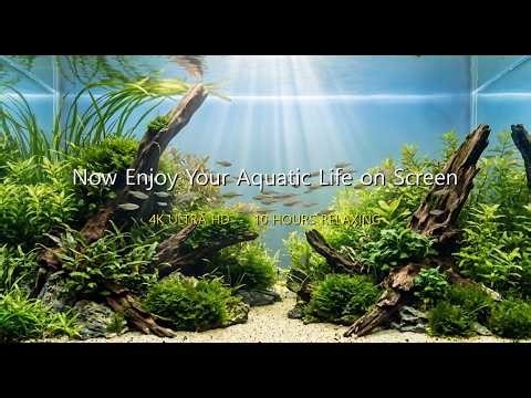7 HOURS 4K Aquarium No Maintenance | Beautiful Aquascape & Colorful Fish for Deep Healing 🐠