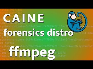 CAINE - 12 - ffmpeg - multimedia framework for audio and video processing