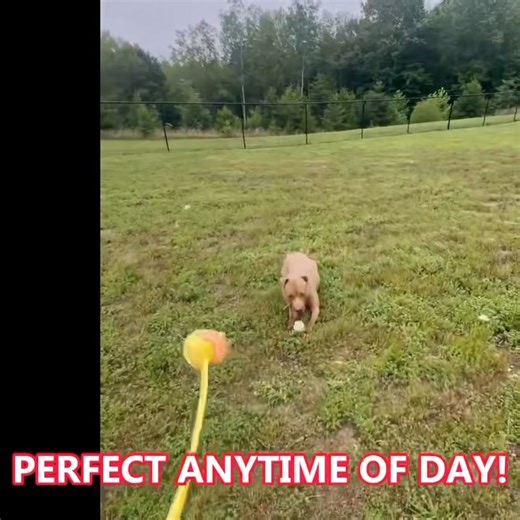 7.8K views · 85 reactions | We started with Dude (yes, with “Hey...