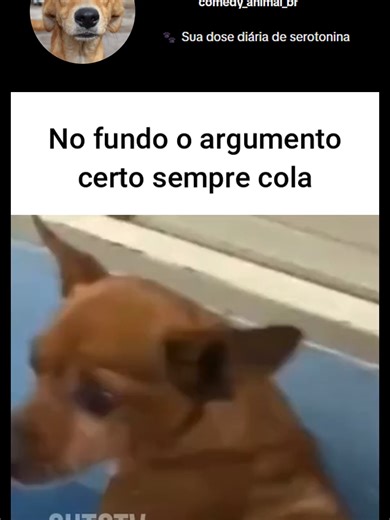 🫠 @gutotvreal mitou demais #animais #animaisnotiktok #humor #bbb26 #risada #virginia #paratipage #trending #animaisfofos #foryoupage #meme #dublagem #viralbrasileiro #lula