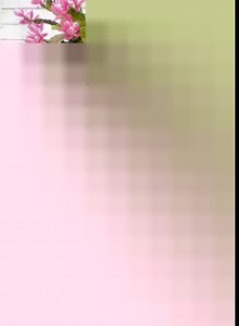 240K views · 10K reactions | Succulents Around the World | Cactus Garden | Facebook