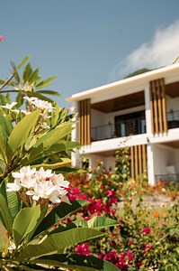 13K views · 33 reactions | Golden Rock Resort isn’t just a place to...