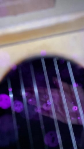 Guitar Glitter Result! Sparkle Your Strings with Anna Catify