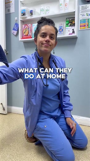 The Silent Intestinal Parasites That Make Pets Sick