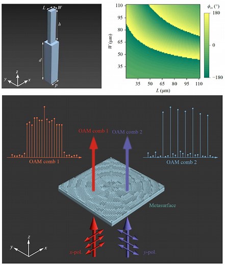 Generation and multiplexing of double-polarized terahertz vortex combs | Newswise