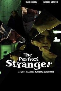 The Perfect Stranger - Movie
