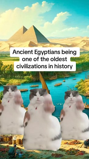 169K views · 4.8K reactions | HistoriCats Part 13! The Ancient Egypt☺️ Donate to my School Computer and Studies at our PayPal Account: @memesph93@gmail.com #fypシ #reelsfypシ゚viral #funnymemesdaily #memescat #catmemesdaily | MemesPh | Facebook