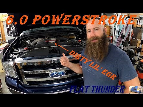 6.0 POWERSTROKE; DIRTY LIL EGR (EGR VALVE CLEANING / MAINTENANCE)