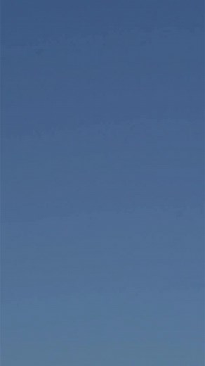 156K views · 3.3K reactions | The best combo for duck hunting - sunshine and wind! 閭. : The Fowl Life | Benelli USA | Facebook