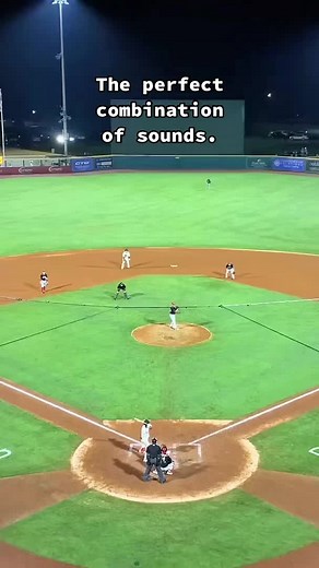 Trash Pandas on TikTok