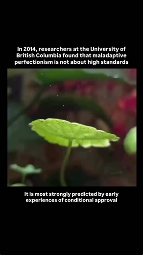 Arian Mateo on Instagram: "High standards and perfectionism are not the same thing. One is a preference. The other is a protection strategy. In 2014, researchers at the University of British Columbia studying perfectionism and shame found that maladaptive perfectionism, the kind that persists regardless of actual achievement, is most strongly predicted by early experiences of conditional approval. The standard is not set in pursuit of quality. It is set to pre-empt the shame that historically fo