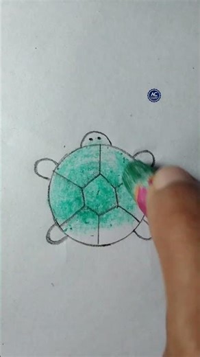 Easy Tortoise Drawing Tricks #tortoisedrawing #pencilart #fypshorts #youtubereels