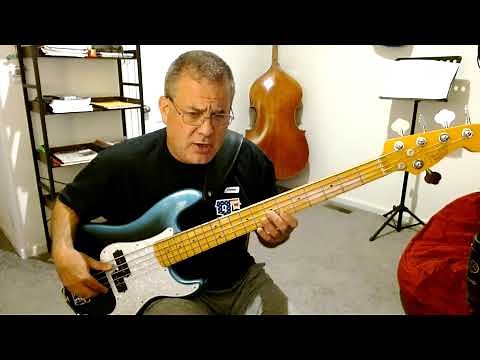 Fender Precision 5 String Professional Bass Review