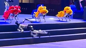 Video: AI gone wrong: Humanoid robot freaks out while climbing stairs in China