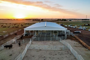 How Much Does It Cost To Cover Cattle Yards?