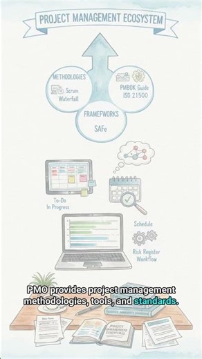 #SW 0217 - The Secret Weapon for Project Success, What is PMO?