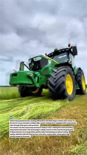 Powerful Tractor Cutting Grass Fast with Disc Mower | Modern Hay Farming #tractor #farming #agri