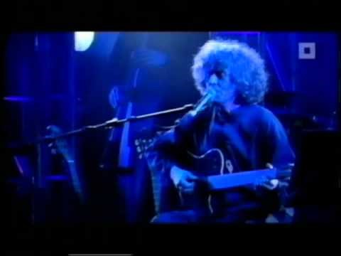 Angelo Branduardi - Il Dono Del Cervo (Live @Antwerpen)
