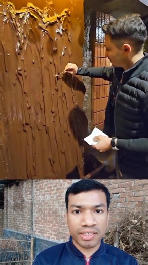 Inside the Chocolate Waterfall Museum — Surprising Rule!