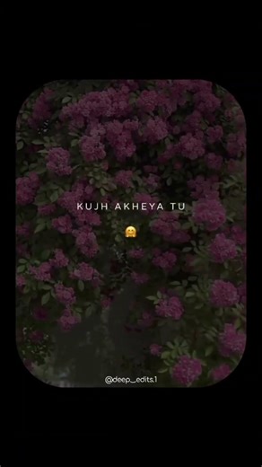 Ishq - Nirvair Pannu | Beautiful Lyrical Status ❤️ #Shorts