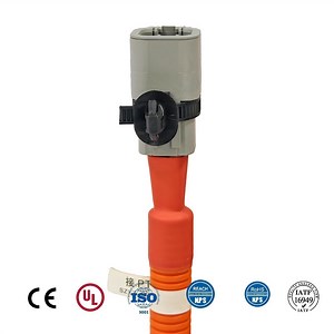 [Hot Item] IATF-16949 Certified Factory-Supplied PTC Wire Assembly EV Car Harness Electric Vehicle
