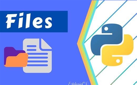 为什么要区分文本和二进制模式？读写文件详解