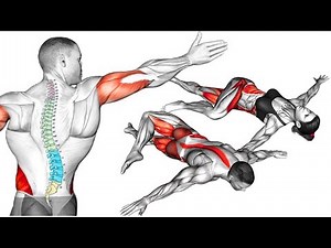 Spine Alignment Exercises for Posture Correction and Back Pain Relief
