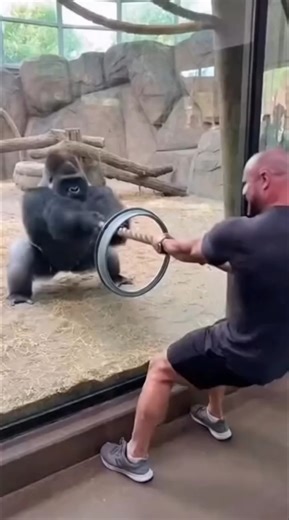 No item ❌ super hand grip exercise ‼️#shorts #reels #exercises #motivation #fitness