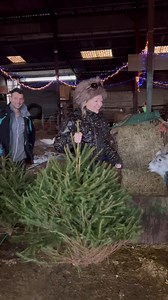 57K views · 3.5K reactions | Farm highlights, thanks Kevin from Devizes Christmas trees and great VIP tour with Laura #farmtour #vipvisit #farmhighlights #treerecyling Caroline Le Bourgeois | Caenhill Countryside Centre | Facebook