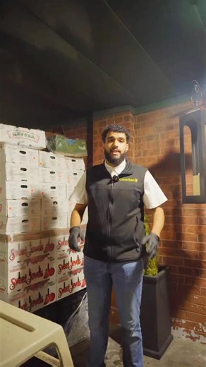 Fresh produce restock at Crescent Market! 🥒 Persian cucumbers, Mexican squash, mint, yellow dates & much more — just in time for the weekend. 🌱 📍 401 Realty Dr, Gretna, LA 70056 🕒 Open daily: 7:00 AM – 11:00 PM Shop local, shop fresh! 🍇🍑 #CrescentMarket #FreshProduce #gretnala | Crescent Market