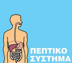 ΠΕΠΤΙΚΟ ΣΥΣΤΗΜΑ
