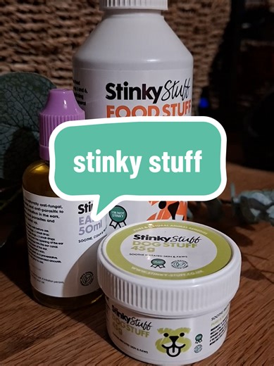 Effective Itch Relief Products for Your Dog